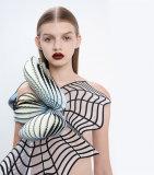 3D Printed Polymers Fashion Collection | Noa Raviv