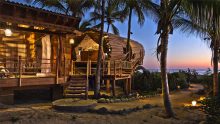 Bamboo Treehouse Suite | Deture Culsign, Architecture+Interiors