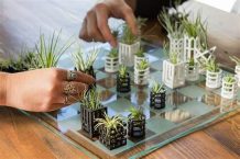 Chess Set with Miniature Plant Containers for Pieces Doubles as Refreshing Decoration