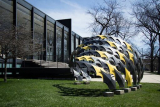 Fiber wave | Carbon_Lab Illinois at IIT