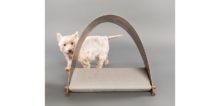 Foster + Partners Designs a Barc Dog Kennel for the Goodwoof Barkitecture Competition