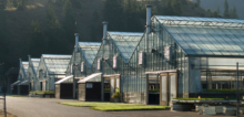 Greenhouses: Shared Spaces for Nature’s Bounty and Human Ingenuity