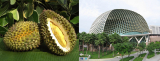 How Biomimicry Enhances Creativity in Architecture