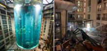 In a Horrific Tragedy, the Massive Aquarium “AquaDom” in Berlin Bursts, Tossing 1,500 Fish Into the Streets.
