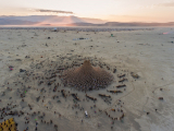Medina’s Beautiful Images of The Burning Man 2018