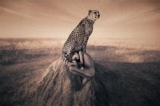 Nature Masterpieces | Gregory Colbert