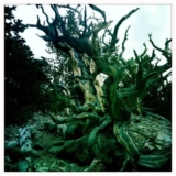 Photography of LAUREN STERN