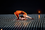 Pixel – The technological ballet  |  Adrien M / Claire B Company