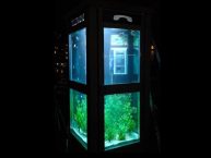 The aquarium booth | Benedetto bufalino + Benoit deseille