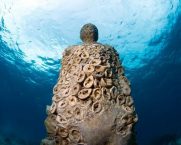 The Last Supper, The Listener, The Phoenix | Jason Decaires Taylor