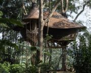 Tree House at Bambu Indah | IBUKU
