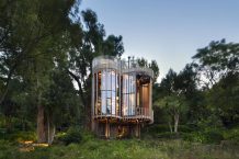 Tree House | Malan Vorster Architecture Interior Design