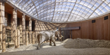 Zoo Design and Architecture for Animals