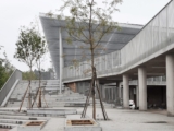 A Market of Vibrant Buffer | Studio D’Arkwave